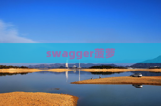 swagger菠萝 swagger菠萝